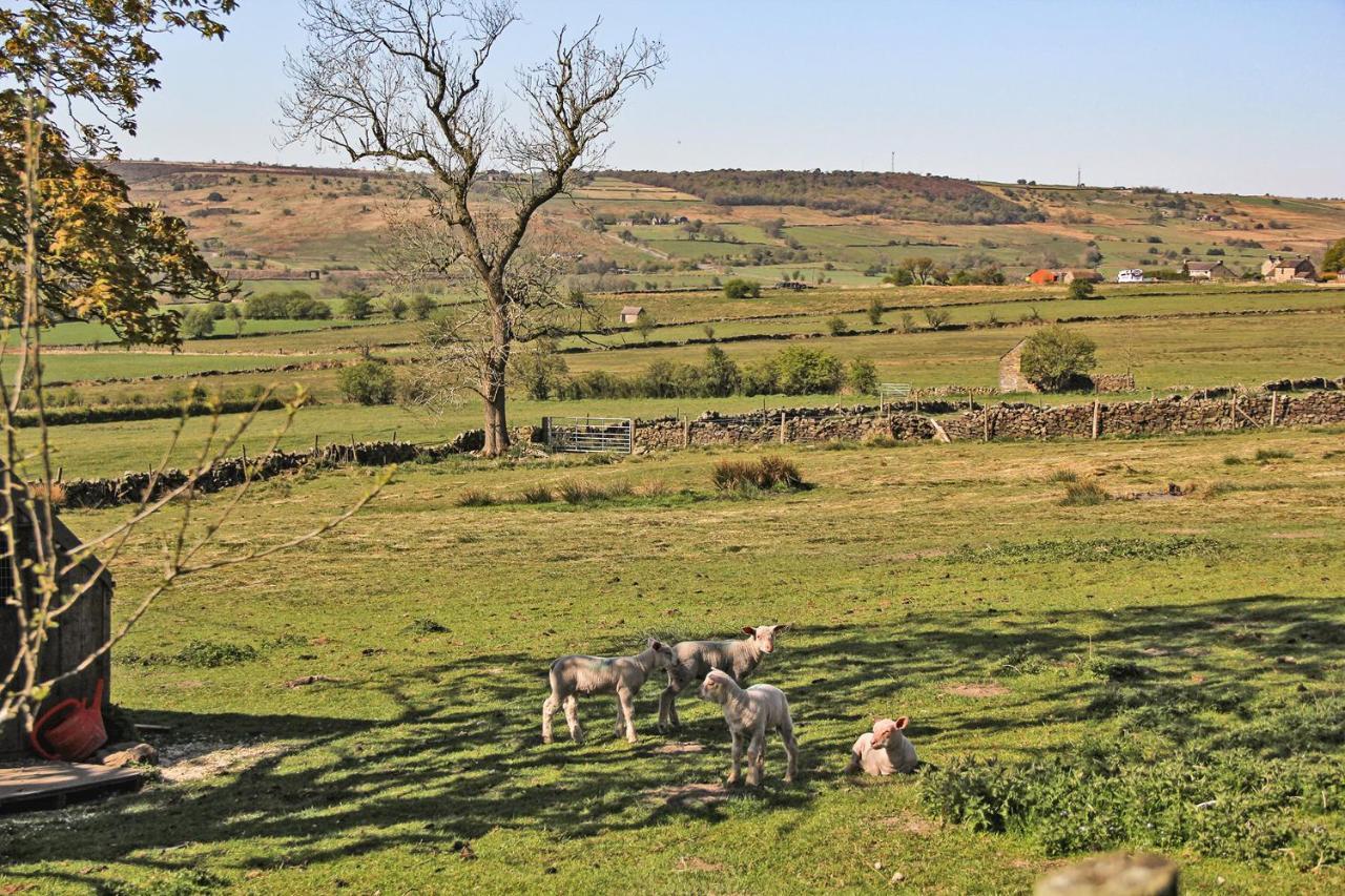 Moorland View Farm B&B Oakamoor Buitenkant foto